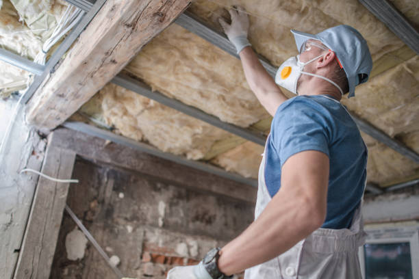 Best Professional Insulation Contractor  in Green Island, NY