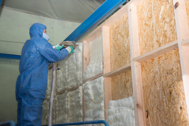 Best Insulation Inspection Services  in Green Island, NY